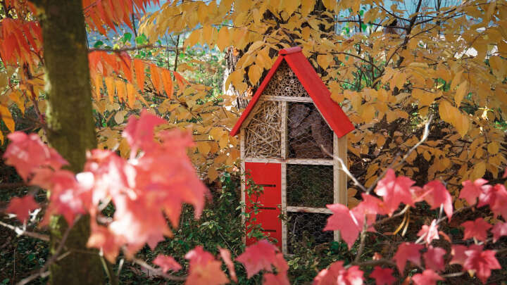 Insektenhotel mit rotem Dach Insektenhotel mit rotem Dach